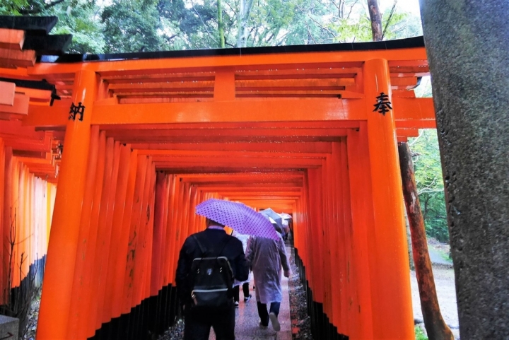 【日本京都 | 景點】漫步經典古都一日遊▹伏見稻荷大社 | 清水寺 | 地主神社 | 二三年坂 | 高台寺