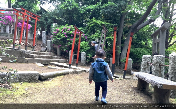 (東京)根津神社-杜鵑花祭