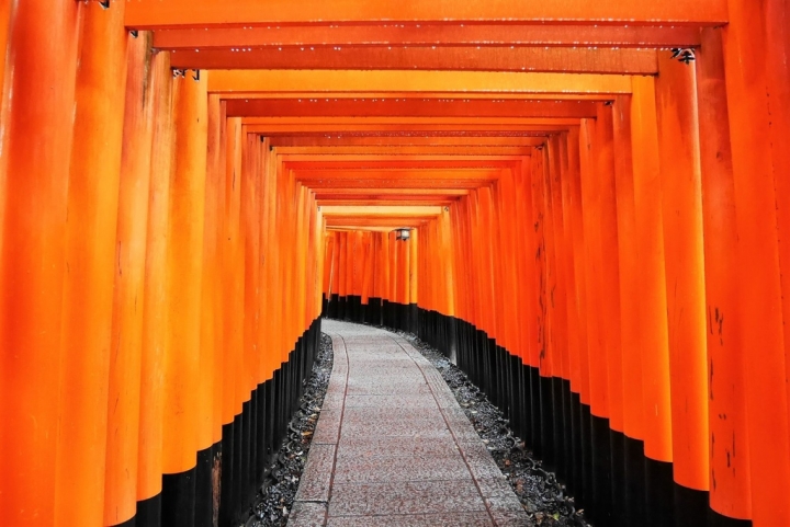 【日本京都 | 景點】漫步經典古都一日遊▹伏見稻荷大社 | 清水寺 | 地主神社 | 二三年坂 | 高台寺