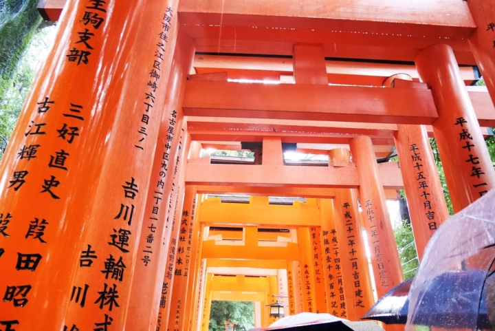 【日本京都 | 景點】漫步經典古都一日遊▹伏見稻荷大社 | 清水寺 | 地主神社 | 二三年坂 | 高台寺