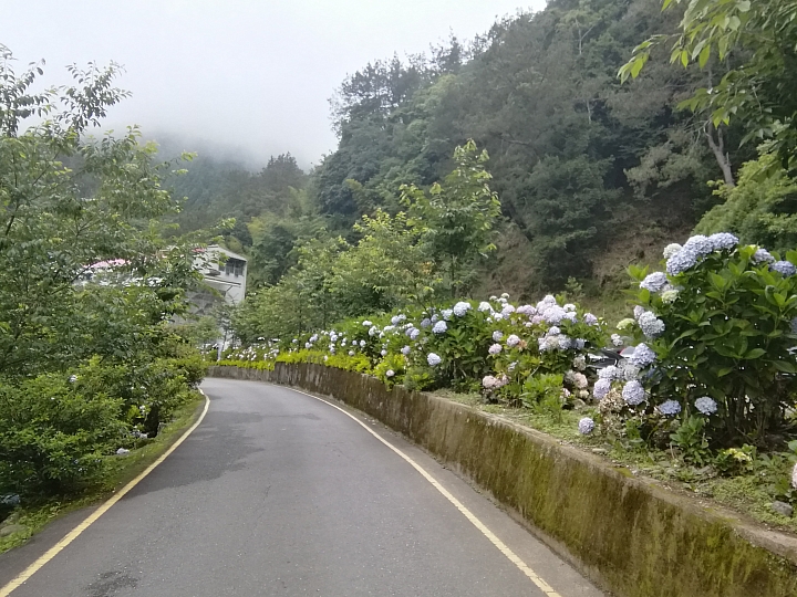 杉林溪雨後瀑布水量豐沛，七月有螢火蟲了，有導覽人員帶你去看