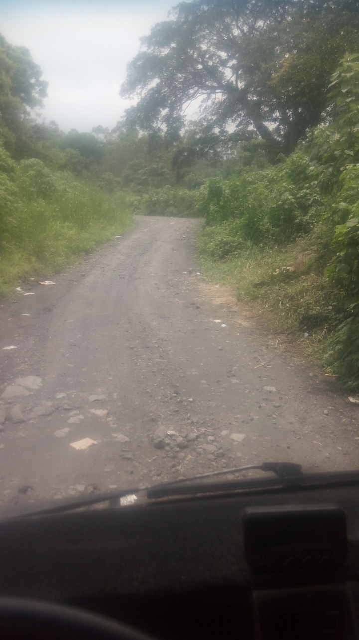 今天我們去分發食物和服裝給火山 噴發倖存者(瓜地馬拉6月3日) Trinidad 和 Zapote 村
