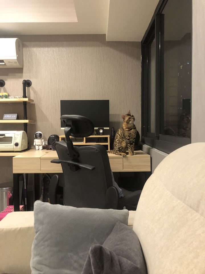 ［開箱］北歐現代，輕裝修，首購分享（無設計師）