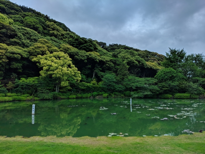 zenfone 5 使用google hdr+ apk 照片分享
