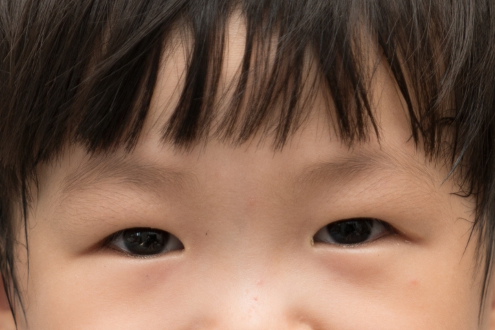 Sony 24-70mm F2.8 GM feat. A9 / A7RIII 大量70mm f2.8實拍照測試與心得