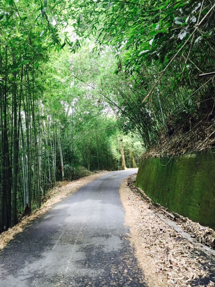 雪的單車遊記～殘念的瑞水公路