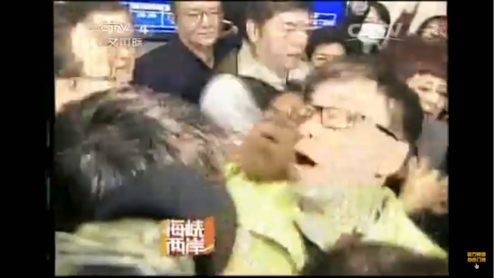 民進黨，一個荒誕不經的政黨