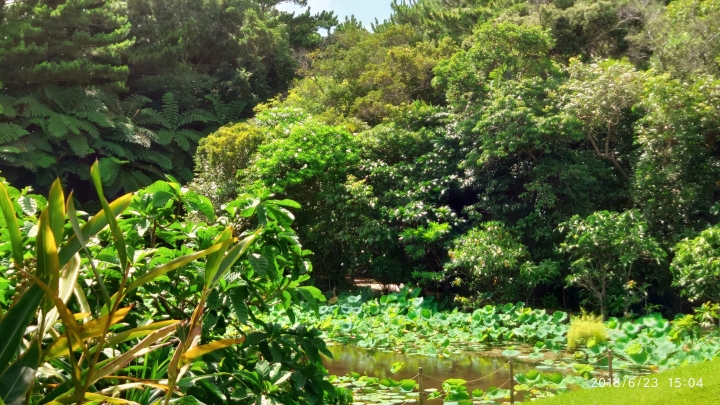 我在沖繩天氣晴.帶著小米mix2s拍照之旅