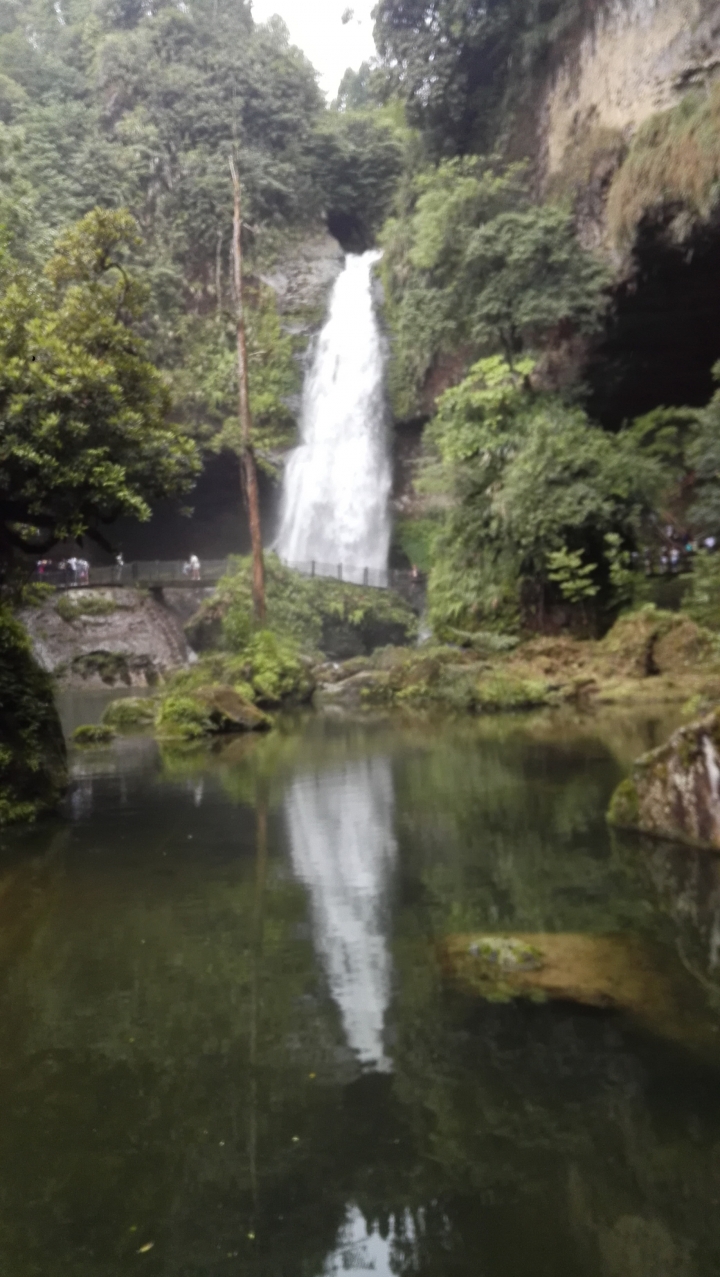 杉林溪雨後瀑布水量豐沛，七月有螢火蟲了，有導覽人員帶你去看
