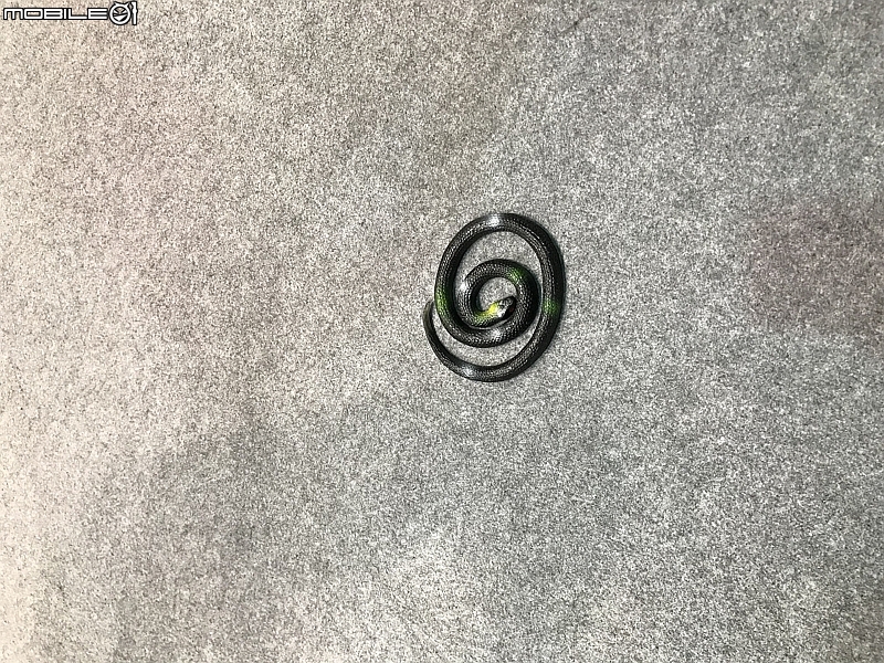 [心得] ANACOMDA巨蟒 2018 COMPUTEX 攤位巡禮