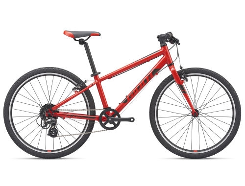 giant 2019登山車.外銷車.搶先看.外國塗裝