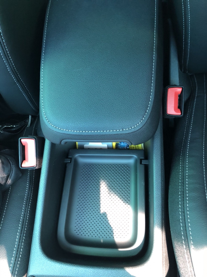 KAROQ小白熊開箱,Peugeot 206感恩謝獅宴