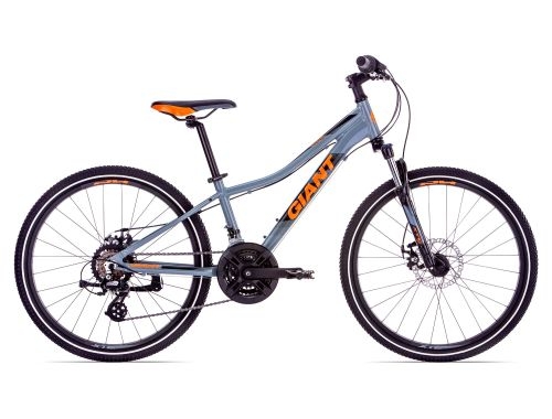 giant 2019登山車.外銷車.搶先看.外國塗裝