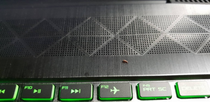 請有 hp電競 pavilion gaming 15 的使用著確認一下