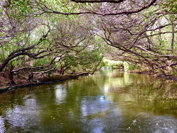 台南四日遊