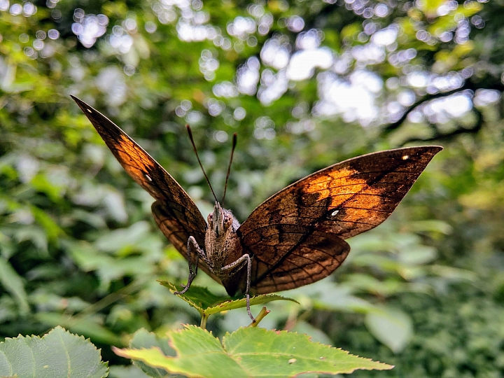 U12 攝影小品分享