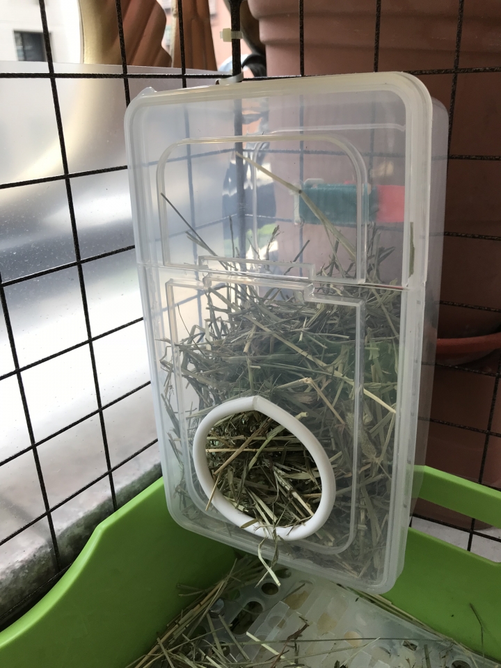兔子牧草架DIY