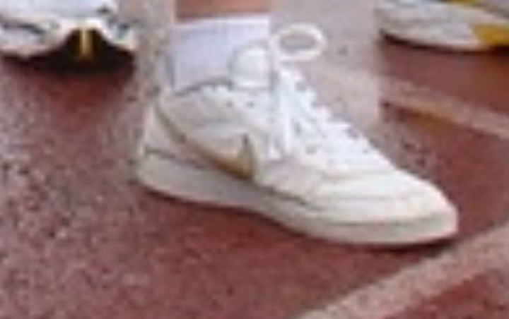 Nike鞋子尋問