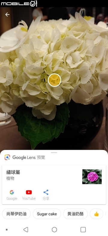 LG G7+ ThinQ法國隨手拍 一切交給AI、廣角仍舊亮眼！