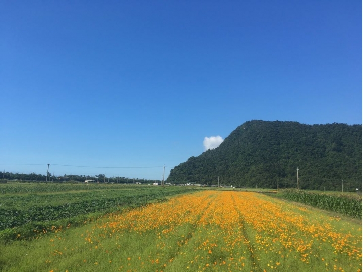 “流浪者日誌” — 盛夏的南澳古道與海蝕洞