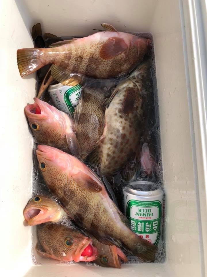 超高級魚釣獲!! 八里外海一支釣 (內有影片)
