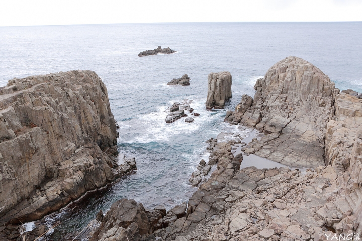 【福井】三國一日散策，看世界級絕景、訪港町小鎮