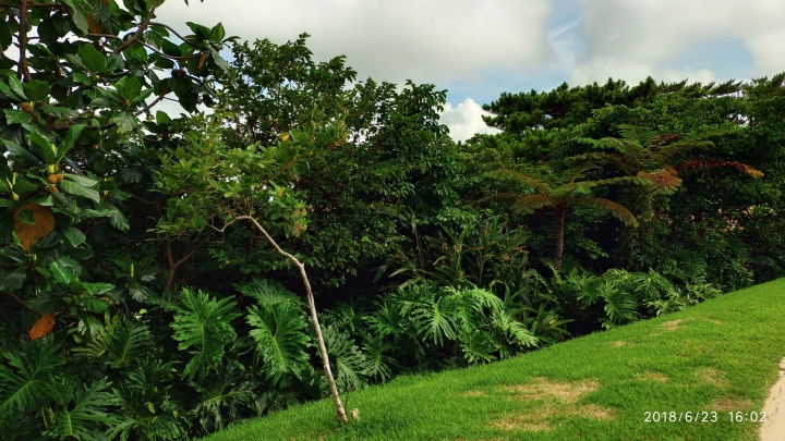 我在沖繩天氣晴.帶著小米mix2s拍照之旅