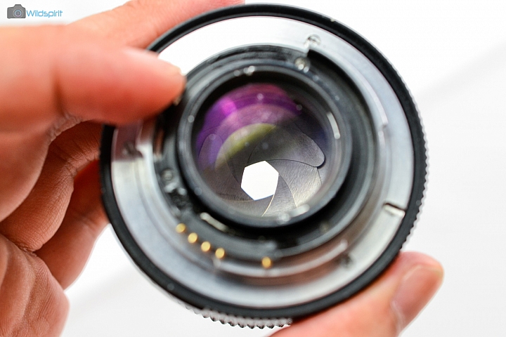40年NIKON用八羽怪【Helios-81M 53mm f/2】