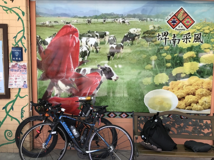 絲路之行前哨站-10D環島
