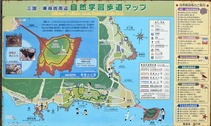 【福井】三國一日散策，看世界級絕景、訪港町小鎮