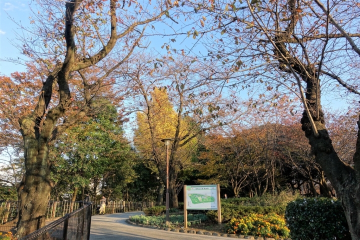 ＜日本＞2017放風行DAY5~荒川線梶原、飛鳥山公園、拍電車、木樂樂