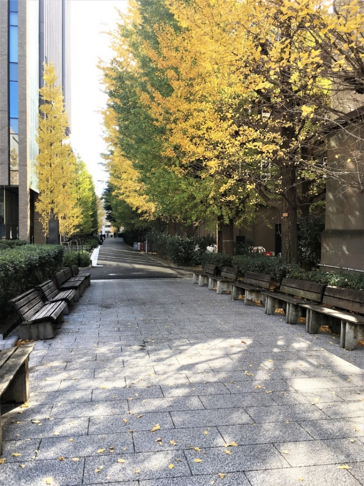 ＜日本＞2017放風行DAY5~荒川線早稻田大學和三之輪橋的當地生活感