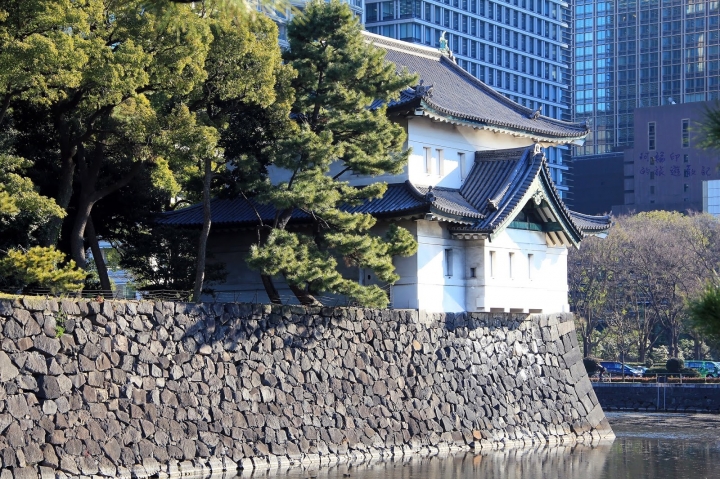 2016日本過新年十三日自助行 (十一)初三上午,到皇宮去。江戶城-皇宮內苑、皇居東御苑!