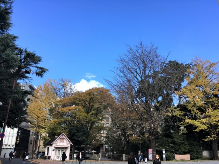 ＜日本＞2017放風行DAY5~荒川線早稻田大學和三之輪橋的當地生活感