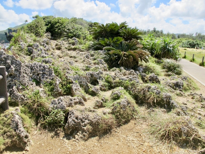 【Okinawa．走跳】人氣景點萬座毛象鼻岩、殘波岬與沖繩島料理花笠食堂