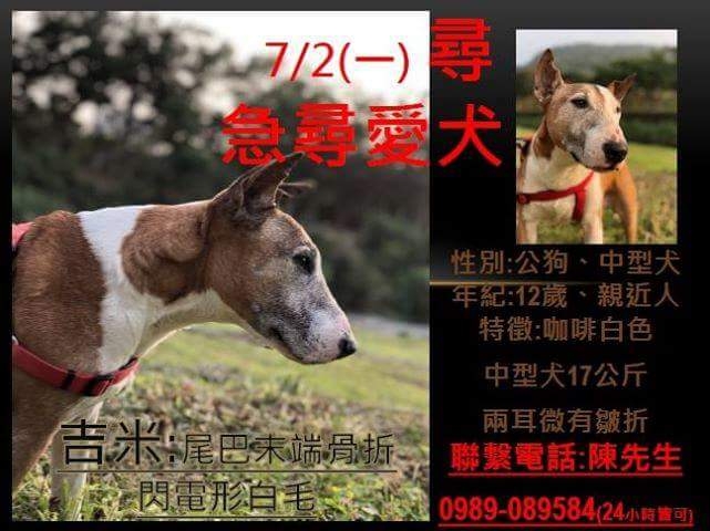 [士林天母] 牛頭梗協尋