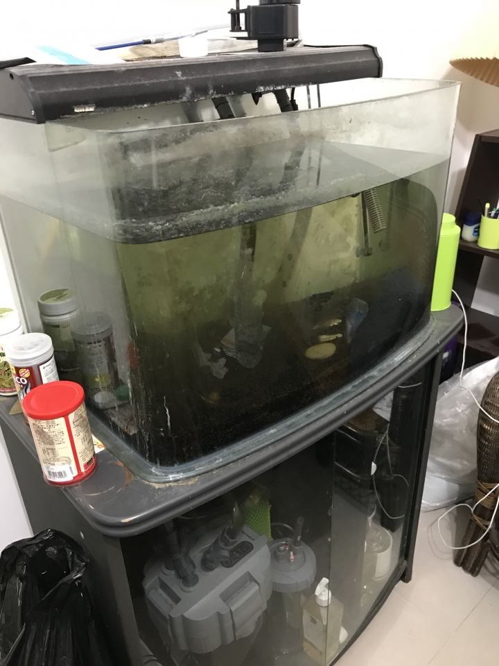 送魚缸 圓筒等