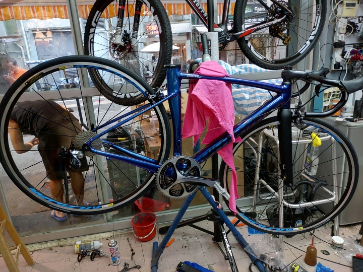 specialized allez變色龍小小的開箱文