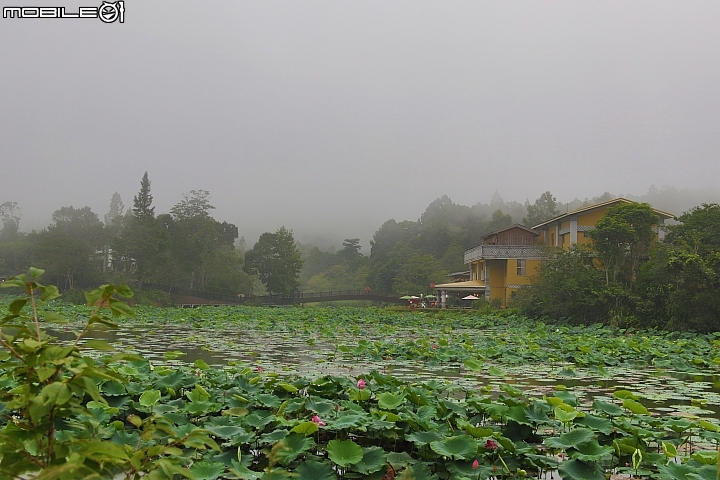 2014山土匪SANTA FE（1440公里油耗紀錄）