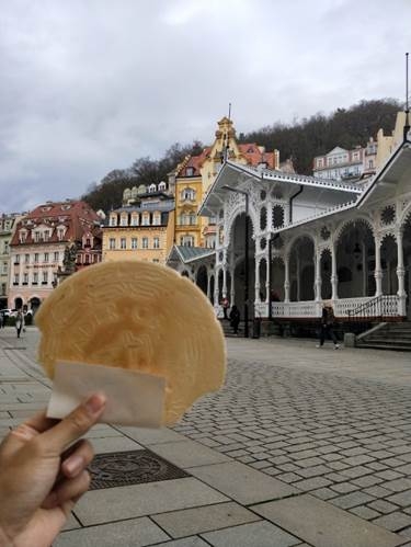 家族旅遊前進歐洲!!!太平洋旅行社德捷12日~