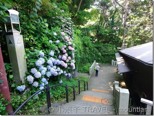 東京【遊記】江之島．鐮倉 1日遊 [東京神奈川自由行]