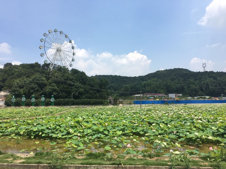 Escort自駕遊,從瀋陽到香港(更新)