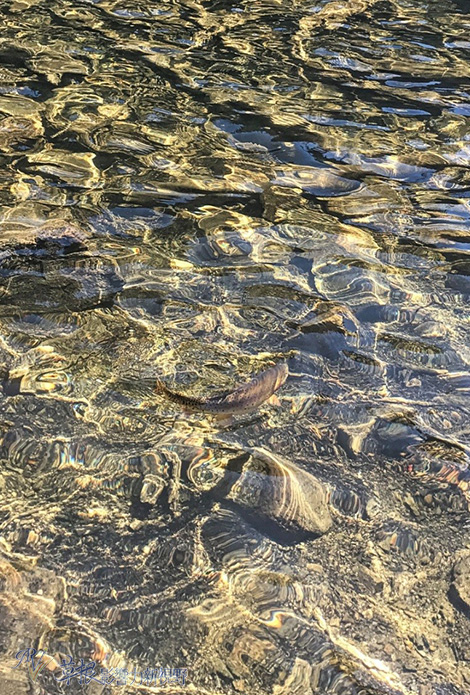 美國洛磯山國家公園山中之湖