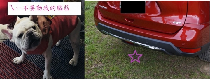 【 Nissan 體驗會分享 】夠熱血才來挑戰！ 讓 X-Trail 帶我縱橫蘭陽