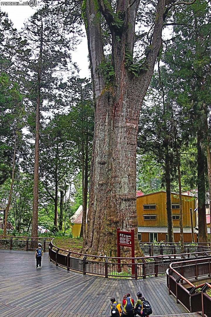 2014山土匪SANTA FE（1440公里油耗紀錄）