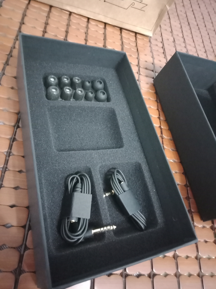 [平衡下的沈穩德國之聲] Sennheiser IE800S動圈之王