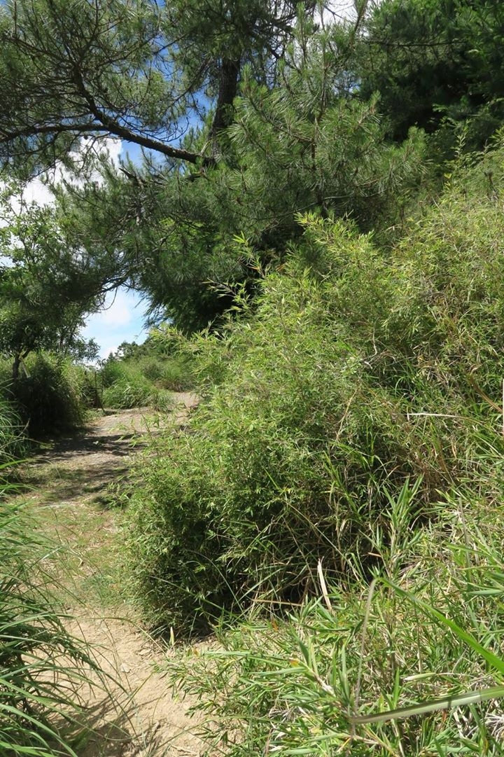 閂山、鈴鳴山二日行程記錄(2018/7/20~21)