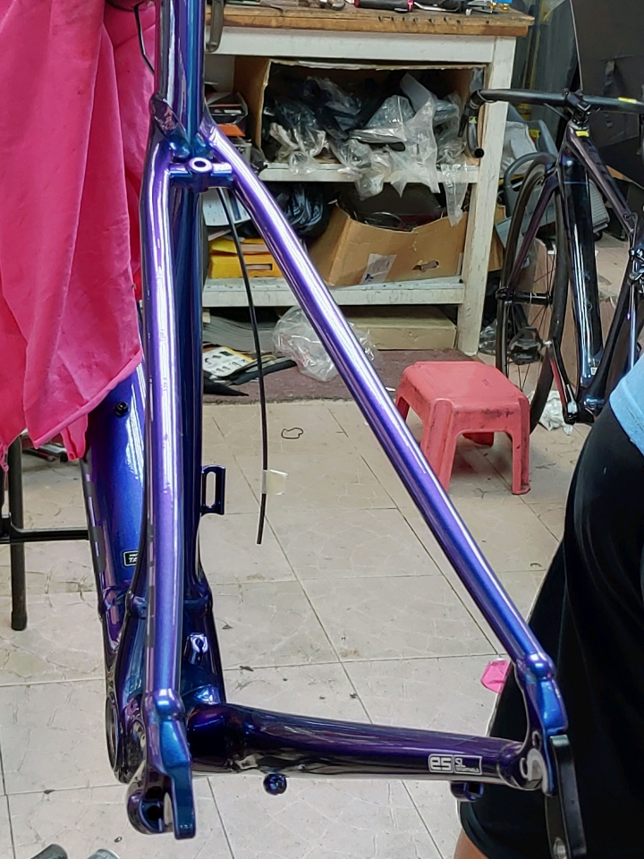 specialized allez變色龍小小的開箱文