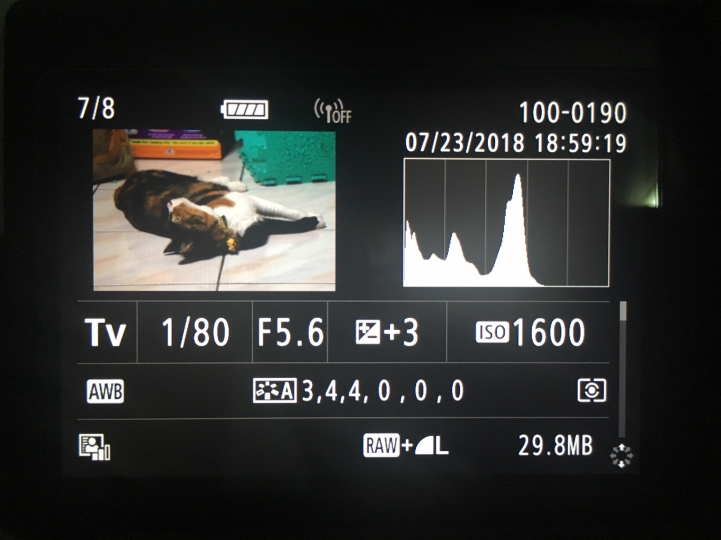 80D 曝光補償沒效果 ?