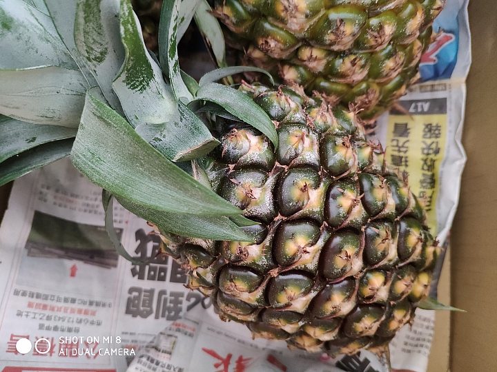 雖然在等探索版 但先做了一般版小米8的小測與開箱